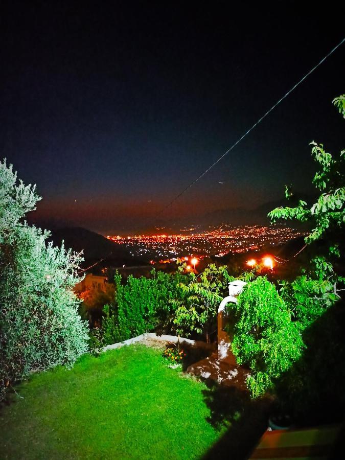 Villa Zelena Maslina Bar Esterno foto