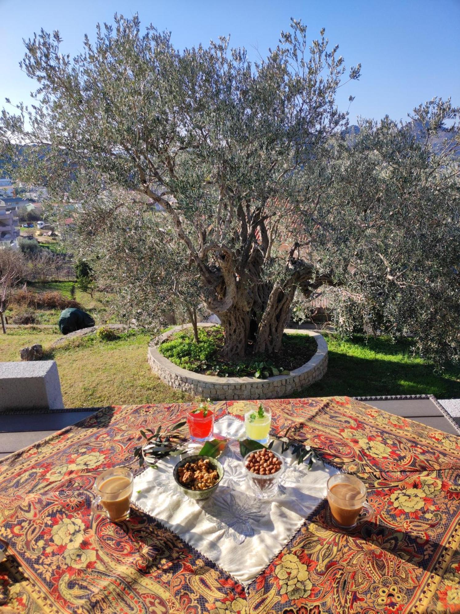 Villa Zelena Maslina Bar Esterno foto